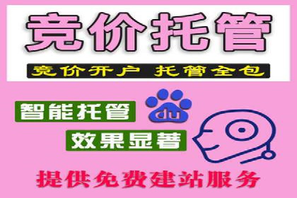 信息流代理实战：精准广告投放案例分析